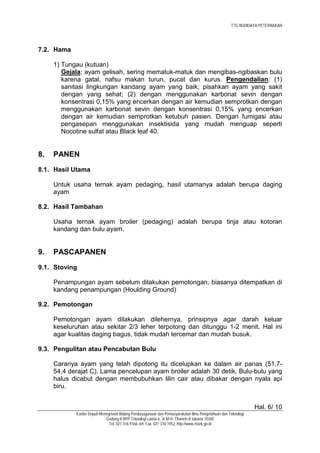 TTG BUDIDAYA PETERNAKAN




7.2. Hama

     1) Tungau (kutuan)
        Gejala: ayam gelisah, sering mematuk-matuk dan mengibas-ngibaskan bulu
        karena gatal, nafsu makan turun, pucat dan kurus. Pengendalian: (1)
        sanitasi lingkungan kandang ayam yang baik; pisahkan ayam yang sakit
        dengan yang sehat; (2) dengan menggunakan karbonat sevin dengan
        konsentrasi 0,15% yang encerkan dengan air kemudian semprotkan dengan
        menggunakan karbonat sevin dengan konsentrasi 0,15% yang encerkan
        dengan air kemudian semprotkan ketubuh pasien. Dengan fumigasi atau
        pengasepan menggunakan insektisida yang mudah menguap seperti
        Nocotine sulfat atau Black leaf 40.


8.   PANEN
8.1. Hasil Utama

     Untuk usaha ternak ayam pedaging, hasil utamanya adalah berupa daging
     ayam

8.2. Hasil Tambahan

     Usaha ternak ayam broiler (pedaging) adalah berupa tinja atau kotoran
     kandang dan bulu ayam.


9.   PASCAPANEN
9.1. Stoving

     Penampungan ayam sebelum dilakukan pemotongan, biasanya ditempatkan di
     kandang penampungan (Houlding Ground)

9.2. Pemotongan

     Pemotongan ayam dilakukan dilehernya, prinsipnya agar darah keluar
     keseluruhan atau sekitar 2/3 leher terpotong dan ditunggu 1-2 menit. Hal ini
     agar kualitas daging bagus, tidak mudah tercemar dan mudah busuk.

9.3. Pengulitan atau Pencabutan Bulu

     Caranya ayam yang telah dipotong itu dicelupkan ke dalam air panas (51,7-
     54,4 derajat C). Lama pencelupan ayam broiler adalah 30 detik. Bulu-bulu yang
     halus dicabut dengan membubuhkan lilin cair atau dibakar dengan nyala api
     biru.


                                                                                                               Hal. 6/ 10
            Kantor Deputi Menegristek Bidang Pendayagunaan dan Pemasyarakatan Ilmu Pengetahuan dan Teknologi
                             Gedung II BPP Teknologi Lantai 6, Jl. M.H. Thamrin 8 Jakarta 10340
                               Tel. 021 316 9166~69, Fax. 021 316 1952, http://www.ristek.go.id
 