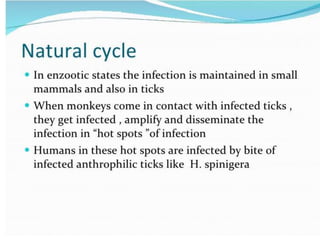 Kyasanur Forest Disease