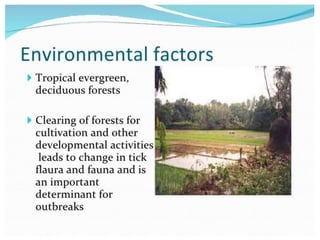 Kyasanur Forest Disease