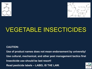 VEGETABLE INSECTICIDES

CAUTION:
Use of product names does not mean endorsement by university!
Use cultural, mechanical, and other pest management tactics first
Insecticide use should be last resort!
Read pesticide labels – LABEL IS THE LAW.
 