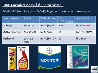 IRAC Chemical class: 1A (Carbamates)
MoA: inhibitor of enzyme (AChE), hyperexcites insects, nonselective
Common name     Product      Pesticide type Oral         Best against
                                            LD50 (mg/kg)
Carbaryl        Sevin D/S    In, Ac (St, Co)   300        FB, FAW, SVB

Methamidophos   Monitor 4L   In, Ac(Sys)       16         Aph, Thr, BAW

Methomyl        Lannate      In, Ac (Sys, Co) 17          Thr, BAW
                40SP
 