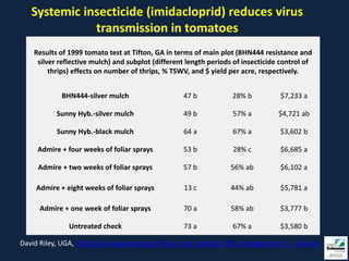 Systemic insecticide (imidacloprid) reduces virus
              transmission in tomatoes
    Results of 1999 tomato test at Tifton, GA in terms of main plot (BHN444 resistance and
     silver reflective mulch) and subplot (different length periods of insecticide control of
         thrips) effects on number of thrips, % TSWV, and $ yield per acre, respectively.


            BHN444-silver mulch                    47 b            28% b          $7,233 a

           Sunny Hyb.-silver mulch                 49 b            57% a          $4,721 ab

           Sunny Hyb.-black mulch                  64 a            67% a          $3,602 b

     Admire + four weeks of foliar sprays          53 b            28% c          $6,685 a

     Admire + two weeks of foliar sprays           57 b           56% ab          $6,102 a

    Admire + eight weeks of foliar sprays           13 c          44% ab          $5,781 a

     Admire + one week of foliar sprays            70 a           58% ab          $3,777 b

               Untreated check                     73 a            67% a          $3,580 b

David Riley, UGA, http://wiki.bugwood.org/Thrips_and_Spotted_Wilt_Management_in_Tomato
 
