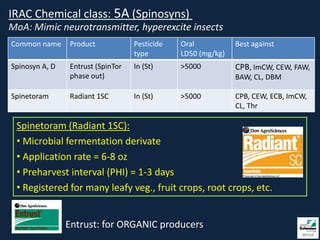 IRAC Chemical class: 5A (Spinosyns)
MoA: Mimic neurotransmitter, hyperexcite insects
Common name     Product            Pesticide   Oral           Best against
                                   type        LD50 (mg/kg)
Spinosyn A, D   Entrust (SpinTor   In (St)     >5000          CPB, ImCW, CEW, FAW,
                phase out)                                    BAW, CL, DBM

Spinetoram      Radiant 1SC        In (St)     >5000          CPB, CEW, ECB, ImCW,
                                                              CL, Thr

 Spinetoram (Radiant 1SC):
 • Microbial fermentation derivate
 • Application rate = 6-8 oz
 • Preharvest interval (PHI) = 1-3 days
 • Registered for many leafy veg., fruit crops, root crops, etc.


                Entrust: for ORGANIC producers
 