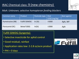 IRAC Chemical class: 9 (new chemistry)
MoA: Unknown; selective homopteran feeding blockers

Common name        Product         Pesticide type   Oral           Best against
                                                    LD50 (mg/kg)
Pymetrozine (9B)   Fulfill 50WDG   In (St)          >5000          Aph, WF

Flonicamid (9C)    Beleaf 50SG     In(St)           >2000          Aph

 Fulfill 50WDG (Syngenta):
 • Selective insecticide for aphid control
 • Good residual, rainfast
 • Application rates low: 2-2.8 oz/acre product
 • PHI = 0 days
 