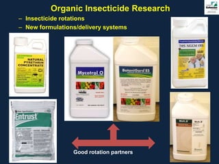 Organic Insecticide Research
– Insecticide rotations
– New formulations/delivery systems




                 Good rotation partners
 