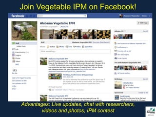 Join Vegetable IPM on Facebook!




Advantages: Live updates, chat with researchers,
        videos and photos, IPM contest
 