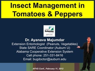 Insect Management in
 Tomatoes & Peppers


        Dr. Ayanava Majumdar
Extension Entomologist (Peanuts, Vegetables)
     State SARE Coordinator (Auburn U)
   Alabama Cooperative Extension System
          Cell phone: 251-331-8416
        Email: bugdoctor@auburn.edu

             AFVG Conf., February 11, 2012
 