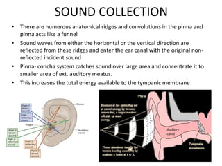 SOUND COLLECTION
• There are numerous anatomical ridges and convolutions in the pinna and
pinna acts like a funnel
• Sound waves from either the horizontal or the vertical direction are
reflected from these ridges and enter the ear canal with the original non-
reflected incident sound
• Pinna- concha system catches sound over large area and concentrate it to
smaller area of ext. auditory meatus.
• This increases the total energy available to the tympanic membrane
 