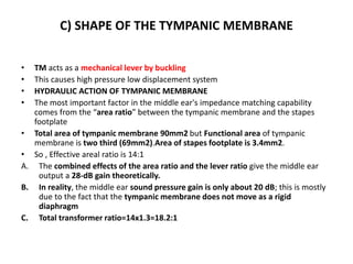 C) SHAPE OF THE TYMPANIC MEMBRANE
• TM acts as a mechanical lever by buckling
• This causes high pressure low displacement system
• HYDRAULIC ACTION OF TYMPANIC MEMBRANE
• The most important factor in the middle ear's impedance matching capability
comes from the “area ratio” between the tympanic membrane and the stapes
footplate
• Total area of tympanic membrane 90mm2 but Functional area of tympanic
membrane is two third (69mm2).Area of stapes footplate is 3.4mm2.
• So , Effective areal ratio is 14:1
A. The combined effects of the area ratio and the lever ratio give the middle ear
output a 28-dB gain theoretically.
B. In reality, the middle ear sound pressure gain is only about 20 dB; this is mostly
due to the fact that the tympanic membrane does not move as a rigid
diaphragm
C. Total transformer ratio=14x1.3=18.2:1
 