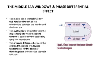 THE MIDDLE EAR WINDOWS & PHASE DIFFERENTIAL
EFFECT
• The middle ear is characterized by
two natural windows or real
connections between the middle and
the inner ear.
• The oval window articulates with the
stapes footplate while the round
window is covered by the secondary
tympanic membrane.
• The pressure difference between the
oval and the round windows is
fundamental for the cochlear
travelling wave which drives cochlear
function
 