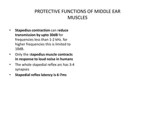 PROTECTIVE FUNCTIONS OF MIDDLE EAR
MUSCLES
• Stapedius contraction can reduce
transmission by upto 30dB for
frequencies less than 1-2 kHz. for
higher frequencies this is limited to
10dB.
• Only the stapedius muscle contracts
in response to loud noise in humans
• The whole stapedial reflex arc has 3-4
synapses
• Stapedial reflex latency is 6-7ms
 
