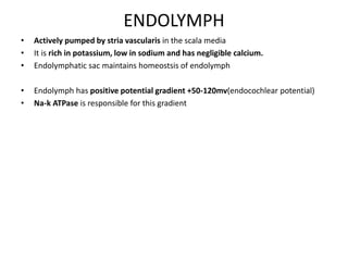 ENDOLYMPH
• Actively pumped by stria vascularis in the scala media
• It is rich in potassium, low in sodium and has negligible calcium.
• Endolymphatic sac maintains homeostsis of endolymph
• Endolymph has positive potential gradient +50-120mv(endocochlear potential)
• Na-k ATPase is responsible for this gradient
 