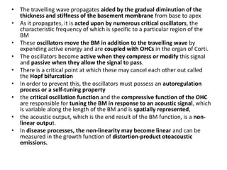 • The travelling wave propagates aided by the gradual diminution of the
thickness and stiffness of the basement membrane from base to apex
• As it propagates, it is acted upon by numerous critical oscillators, the
characteristic frequency of which is specific to a particular region of the
BM
• These oscillators move the BM in addition to the travelling wave by
expending active energy and are coupled with OHCs in the organ of Corti.
• The oscillators become active when they compress or modify this signal
and passive when they allow the signal to pass.
• There is a critical point at which these may cancel each other out called
the Hopf bifurcation
• In order to prevent this, the oscillators must possess an autoregulation
process or a self-tuning property
• the critical oscillation function and the compressive function of the OHC
are responsible for tuning the BM in response to an acoustic signal, which
is variable along the length of the BM and is spatially represented,
• the acoustic output, which is the end result of the BM function, is a non-
linear output.
• In disease processes, the non-linearity may become linear and can be
measured in the growth function of distortion-product otoacoustic
emissions.
 