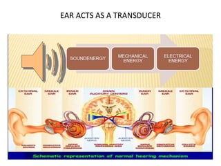 EAR ACTS AS A TRANSDUCER
 