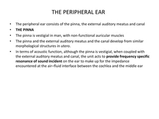 THE PERIPHERAL EAR
• The peripheral ear consists of the pinna, the external auditory meatus and canal
• THE PINNA
• The pinna is vestigial in man, with non-functional auricular muscles
• The pinna and the external auditory meatus and the canal develop from similar
morphological structures in utero.
• In terms of acoustic function, although the pinna is vestigial, when coupled with
the external auditory meatus and canal, the unit acts to provide frequency specific
resonance of sound incident on the ear to make up for the impedance
encountered at the air–fluid interface between the cochlea and the middle ear
 