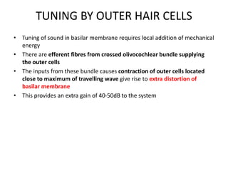 TUNING BY OUTER HAIR CELLS
• Tuning of sound in basilar membrane requires local addition of mechanical
energy
• There are efferent fibres from crossed olivocochlear bundle supplying
the outer cells
• The inputs from these bundle causes contraction of outer cells located
close to maximum of travelling wave give rise to extra distortion of
basilar membrane
• This provides an extra gain of 40-50dB to the system
 