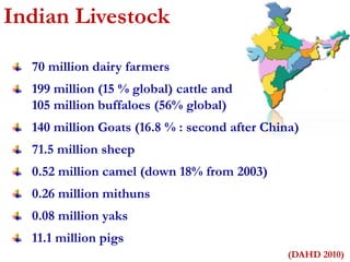 Indian Livestock 
70 million dairy farmers 
199 million (15 % global) cattle and 
105 million buffaloes (56% global) 
140 million Goats (16.8 % : second after China) 
71.5 million sheep 
0.52 million camel (down 18% from 2003) 
0.26 million mithuns 
0.08 million yaks 
11.1 million pigs 
(DAHD 2010) 
 