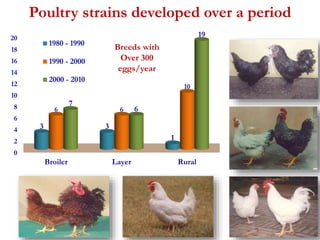 20 
18 
16 
14 
12 
10 
8 
6 
4 
2 
0 
Poultry strains developed over a period 
7 
6 6 
3 3 
1 
10 
6 
Broiler Layer Rural 
19 
1980 - 1990 
1990 - 2000 
2000 - 2010 
Breeds with 
Over 300 
eggs/year 
 