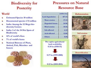 Pressures on Natural 
Resource Base 
Deforestation 
Soil erosion 
Desertification 
(million ha) 
Land degradation 107.43 
Water erosion 57.15 
Degraded forests 24.90 
Wind erosion 10.46 
Salt-affected 6.32 
Acid-affected 12.00 
Others 8.60 
Per capita agricultural 
land availability 
0.34 ha (1950-51) 
0.17 ha (1999-2000) 
0.12 ha (2010-2011) 
Biodiversity for 
Posterity 
World 
Estimated Species 10 million 
Documented species 1.72 million 
India: Among the 12 Mega bio-diversity 
Centres 
India: 3 of the 34 Hot Spots of 
Biodiversity 
12% of world’s flora 
7% of world’s fauna 
National Bureaus of Plant, 
Animal, Fish, Microbes and 
Insects 
 