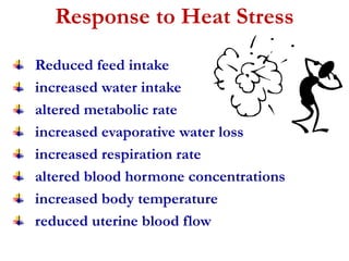 Response to Heat Stress 
Reduced feed intake 
increased water intake 
altered metabolic rate 
increased evaporative water loss 
increased respiration rate 
altered blood hormone concentrations 
increased body temperature 
reduced uterine blood flow 
 