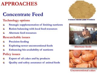 APPROACHES 
Concentrate Feed 
Technology options 
Strategic supplementation of limiting nutrients 
Ration balancing with local feed resources 
Alternate feed resources 
Researchable issues 
Precision feeding 
Exploring newer unconventional feeds 
Enhancing bio-availability of nutrients 
Policy issues 
Export of oil cakes and by products 
Quality and safety assurance of animal feeds 
Alternate feeds 
Unconventional cakes 
 