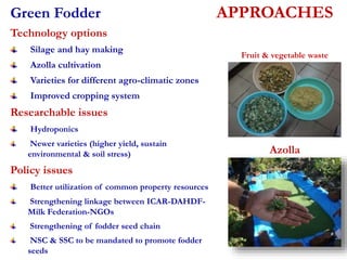 APPROACHES 
Fruit & vegetable waste 
Azolla 
Green Fodder 
Technology options 
Silage and hay making 
Azolla cultivation 
Varieties for different agro-climatic zones 
Improved cropping system 
Researchable issues 
Hydroponics 
Newer varieties (higher yield, sustain 
environmental & soil stress) 
Policy issues 
Better utilization of common property resources 
Strengthening linkage between ICAR-DAHDF-Milk 
Federation-NGOs 
Strengthening of fodder seed chain 
NSC & SSC to be mandated to promote fodder 
seeds 
 