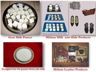 Goat Milk Paneer Mithun Milk and Hide Products 
Mithun Leather Products 
Designer low fat paneer from yak milk 
 