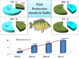 10 
5 
0 
Inland, 
29% 
0.75 
Fish 
Production 
trends in India 
4.95 
6.37 
2005 - 06 
2011 - 12 
8.4 
1950 - 51 
1950-51 1995-96 2005-06 2011-12 
Marine, 
71% 
Inland, 
45% 
Marine, 
55% 
1995 - 96 
Marine, 
Inland 43% 
57% 
Marine, 
Inland, 38% 
62% 
Production in mt 
 