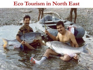 Eco Tourism in North East 
 