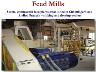 Feed Mills 
Several commercial feed plants established in Chhattisgarh and 
Andhra Pradesh – sinking and floating petllets 
 
