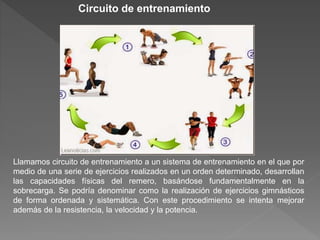 Llamamos circuito de entrenamiento a un sistema de entrenamiento en el que por
medio de una serie de ejercicios realizados en un orden determinado, desarrollan
las capacidades físicas del remero, basándose fundamentalmente en la
sobrecarga. Se podría denominar como la realización de ejercicios gimnásticos
de forma ordenada y sistemática. Con este procedimiento se intenta mejorar
además de la resistencia, la velocidad y la potencia.
Circuito de entrenamiento
 