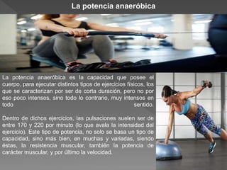 La potencia anaeróbica es la capacidad que posee el
cuerpo, para ejecutar distintos tipos de ejercicios físicos, los
que se caracterizan por ser de corta duración, pero no por
eso poco intensos, sino todo lo contrario, muy intensos en
todo sentido.
Dentro de dichos ejercicios, las pulsaciones suelen ser de
entre 170 y 220 por minuto (lo que avala la intensidad del
ejercicio). Este tipo de potencia, no solo se basa un tipo de
capacidad, sino más bien, en muchas y variadas, siendo
éstas, la resistencia muscular, también la potencia de
carácter muscular, y por último la velocidad.
La potencia anaeróbica
 