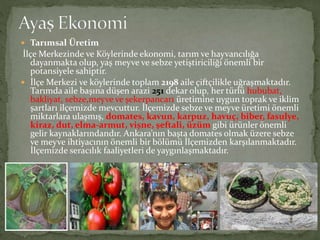 Tarımsal Üretim
İlçe Merkezinde ve Köylerinde ekonomi, tarım ve hayvancılığa
dayanmakta olup, yaş meyve ve sebze yetiştiriciliği önemli bir
potansiyele sahiptir.
 İlçe Merkezi ve köylerinde toplam 2198 aile çiftçilikle uğraşmaktadır.
Tarımda aile başına düşen arazi 251 dekar olup, her türlü hububat,
bakliyat, sebze,meyve ve şekerpancarı üretimine uygun toprak ve iklim
şartları ilçemizde mevcuttur. İlçemizde sebze ve meyve üretimi önemli
miktarlara ulaşmış, domates, kavun, karpuz, havuç, biber, fasulye,
kiraz, dut, elma-armut, vişne, şeftali, üzüm gibi ürünler önemli
gelir kaynaklarındandır. Ankara’nın başta domates olmak üzere sebze
ve meyve ihtiyacının önemli bir bölümü İlçemizden karşılanmaktadır.
İlçemizde seracılık faaliyetleri de yaygınlaşmaktadır.
 