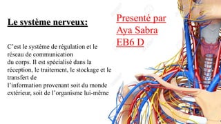 Le système nerveux:
C’est le système de régulation et le
réseau de communication
du corps. Il est spécialisé dans la
réception, le traitement, le stockage et le
transfert de
l’information provenant soit du monde
extérieur, soit de l’organisme lui-même
Presenté par
Aya Sabra
EB6 D
 