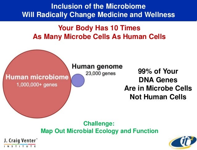 Mapping the Human Gut Microbiome in Health and Disease Using Sequenci…