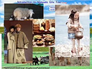 Animals in daily lifeAnimals in daily life
 