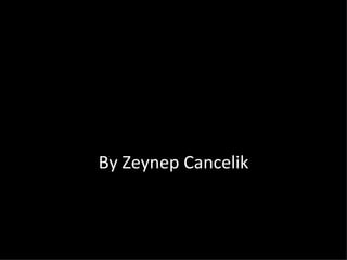 By Zeynep Cancelik 