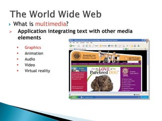  What is multimedia?
 Application integrating text with other media
elements
 Graphics
 Animation
 Audio
 Video
 Virtual reality
 