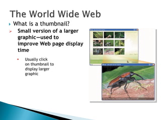  What is a thumbnail?
 Small version of a larger
graphicc—used to
improve Web page display
time
 Usually click
on thumbnail to
display larger
graphic
 