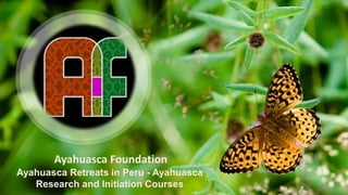 Ayahuasca Foundation
Ayahuasca Retreats in Peru - Ayahuasca
Research and Initiation Courses
 