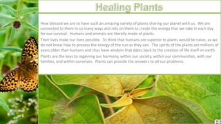 How blessed we are to have such an amazing variety of plants sharing our planet with us. We are
connected to them in so ma...