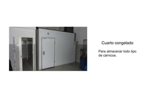 Cuarto congelado
Para almacenar todo tipo
de cárnicos.
 