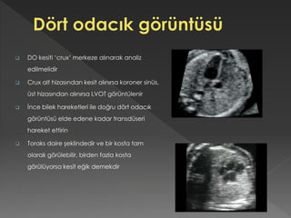  DO kesiti ‘crux’ merkeze alınarak analiz
edilmelidir
 Crux alt hizasından kesit alınırsa koroner sinüs,
üst hizasından alınırsa LVOT görüntülenir
 İnce bilek hareketleri ile doğru dört odacık
görüntüsü elde edene kadar transdüseri
hareket ettirin
 Toraks daire şeklindedir ve bir kosta tam
olarak görülebilir, birden fazla kosta
görülüyorsa kesit eğik demekdir
 