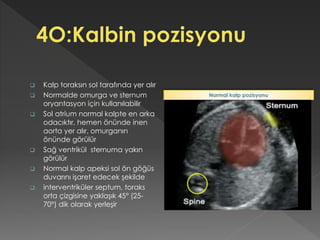  Kalp toraksın sol tarafında yer alır
 Normalde omurga ve sternum
oryantasyon için kullanılabilir
 Sol atrium normal kalpte en arka
odacıktır, hemen önünde inen
aorta yer alır, omurganın
önünde görülür
 Sağ ventrikül sternuma yakın
görülür
 Normal kalp apeksi sol ön göğüs
duvarını işaret edecek şekilde
 interventriküler septum, toraks
orta çizgisine yaklaşık 45° (25-
70°) dik olarak yerleşir
Normal kalp pozisyonu
 