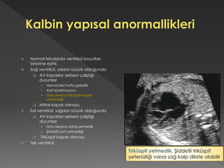  Normal fetuslarda ventrikül boyutları
birbirine eşittir.
 Sağ ventrikül, soldan büyük olduğunda
 AV kapaklar serbest çalıştığı
durumlar
 Normal ileri hafta gebelik
 Aort koarktasyonu
 Orta derece triküspit kapak
yetmezliği
 Mitral kapak stenozu
 Sol ventrikül, sağdan büyük olduğunda
 AV kapaklar serbest çalıştığı
durumlar
 Orta derece mitral yetmezlik
 Şiddetli aort yetmezliği
 Triküspit kapak stenozu
 Tek ventrikül
Triküspit yetmezlik. Şiddetli triküspit
yetersizliği varsa sağ kalp dilate olabilir
 