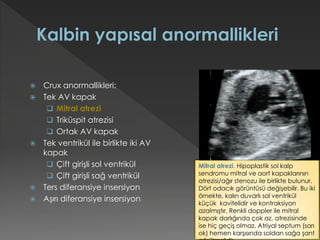  Crux anormallikleri:
 Tek AV kapak
 Mitral atrezi
 Triküspit atrezisi
 Ortak AV kapak
 Tek ventrikül ile birlikte iki AV
kapak
 Çift girişli sol ventrikül
 Çift girişli sağ ventrikül
 Ters diferansiye insersiyon
 Aşırı diferansiye insersiyon
Mitral atrezi. Hipoplastik sol kalp
sendromu mitral ve aort kapaklarının
atrezisi/ağır stenozu ile birlikte bulunur.
Dört odacık görüntüsü değişebilir. Bu iki
örnekte, kalın duvarlı sol ventrikül
küçük kavitelidir ve kontraksiyon
azalmıştır. Renkli doppler ile mitral
kapak darlığında çok az, atrezisinde
ise hiç geçiş olmaz. Atriyal septum (sarı
ok) hemen karşısında soldan sağa şant
 