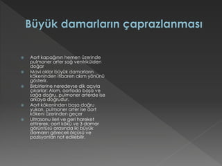  Aort kapağının hemen üzerinde
pulmoner arter sağ ventrikülden
doğar
 Mavi oklar büyük damarların
kökeninden itibaren akım yönünü
gösterir.
 Birbirlerine neredeyse dik açıyla
çıkarlar: Akım, aortada başa ve
sağa doğru, pulmoner arterde ise
arkaya doğrudur.
 Aort kökeninden başa doğru
yukarı, pulmoner arter ise aort
kökeni üzerinden geçer
 Ultrasonu ileri ve geri hareket
ettirerek, aort kökü ve 3 damar
görüntüsü arasında iki büyük
damarın göreceli ölçüsü ve
pozisyonları not edilebilir.
 