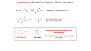 OrganoLinx Aydin Reagent Bioconjugation Introduction