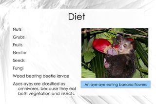 Black or dark brown fur covered by white guard hairs at the neck