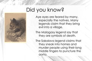 Large incisors that grow continuously